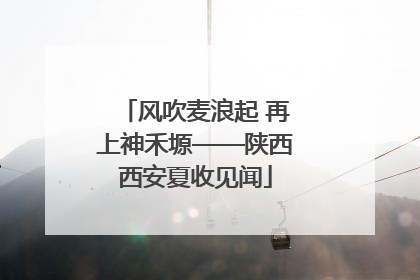 风吹麦浪起 再上神禾塬——陕西西安夏收见闻