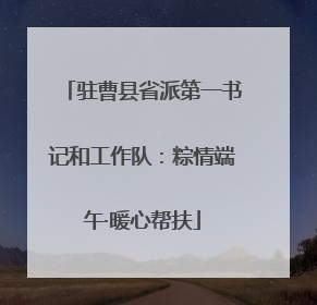 驻曹县省派第一书记和工作队：粽情端午·暖心帮扶