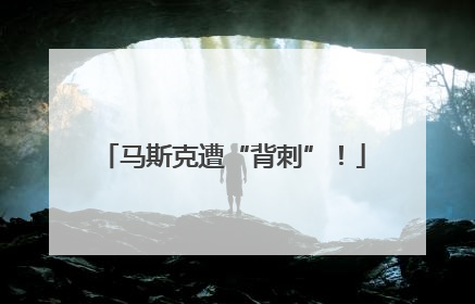 马斯克遭“背刺”！