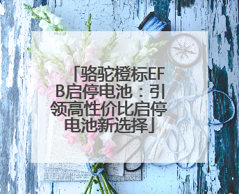 骆驼橙标EFB启停电池：引领高性价比启停电池新选择