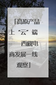 高原产品上“云”端——西藏电商发展一线观察