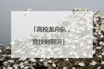 高校龙舟队，竞技刺猬河