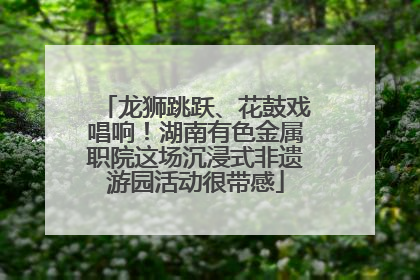 龙狮跳跃、花鼓戏唱响！湖南有色金属职院这场沉浸式非遗游园活动很带感