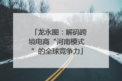 龙永图：解码跨境电商“河南模式”的全球竞争力