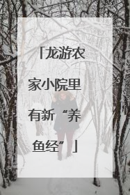 龙游农家小院里有新“养鱼经”