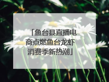 鱼台县直播电商点燃鱼台龙虾消费季新热潮