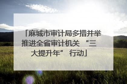 麻城市审计局多措并举推进全省审计机关 “三大提升年” 行动