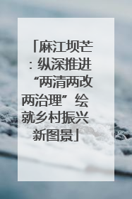 麻江坝芒：纵深推进“两清两改两治理”绘就乡村振兴新图景