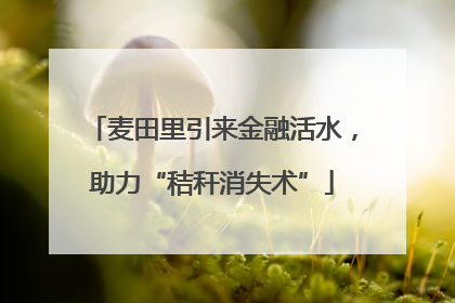 麦田里引来金融活水，助力“秸秆消失术”