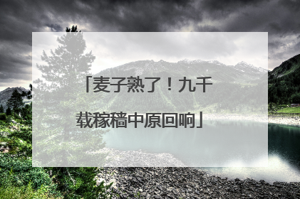 麦子熟了！九千载稼穑中原回响