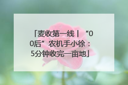 麦收第一线丨“00后”农机手小徐：5分钟收完一亩地