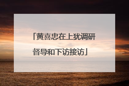 黄喜忠在上犹调研督导和下访接访