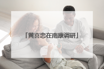 黄喜忠在南康调研