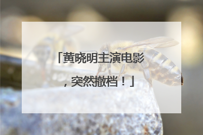 黄晓明主演电影，突然撤档！