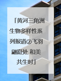 黄河三角洲生物多样性系列报道②飞羽翩跹处 和美共生时