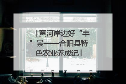 黄河岸边好“丰”景——合阳县特色农业养成记