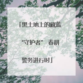 黑土地上的藏蓝“守护者” 春耕警务进行时