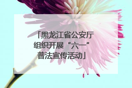 黑龙江省公安厅组织开展“六一”普法宣传活动