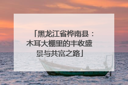 黑龙江省桦南县：木耳大棚里的丰收盛景与共富之路