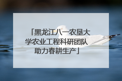 黑龙江八一农垦大学农业工程科研团队助力春耕生产