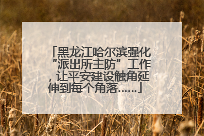 黑龙江哈尔滨强化“派出所主防”工作，让平安建设触角延伸到每个角落……