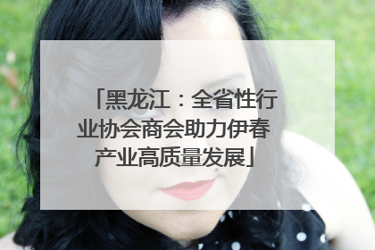 黑龙江：全省性行业协会商会助力伊春产业高质量发展