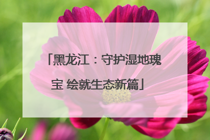 黑龙江：守护湿地瑰宝 绘就生态新篇