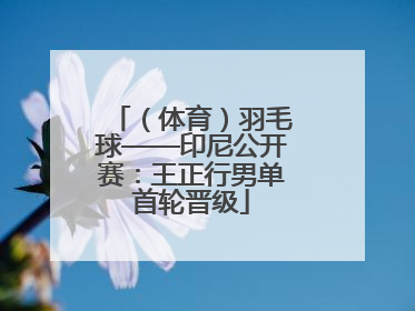 （体育）羽毛球——印尼公开赛：王正行男单首轮晋级
