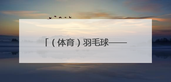 （体育）羽毛球——印尼公开赛：陈柏阳/刘毅无缘男双八强