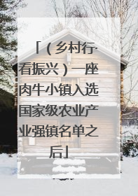 （乡村行·看振兴）一座肉牛小镇入选国家级农业产业强镇名单之后
