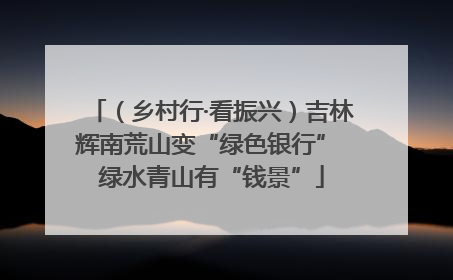 （乡村行·看振兴）吉林辉南荒山变“绿色银行” 绿水青山有“钱景”