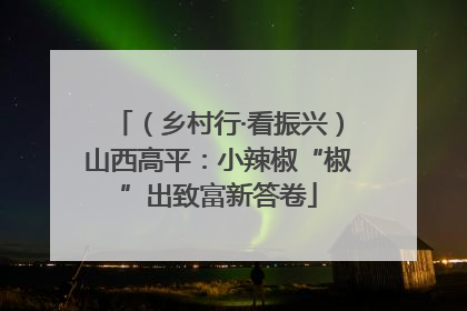 （乡村行·看振兴）山西高平：小辣椒“椒”出致富新答卷