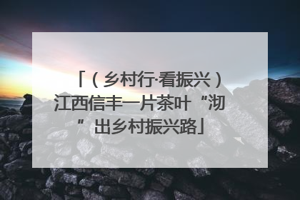 （乡村行·看振兴）江西信丰一片茶叶“沏”出乡村振兴路