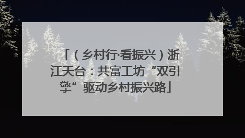（乡村行·看振兴）浙江天台：共富工坊“双引擎”驱动乡村振兴路