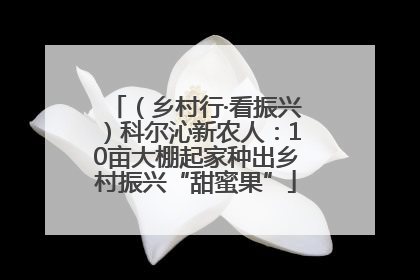 （乡村行·看振兴）科尔沁新农人：10亩大棚起家种出乡村振兴“甜蜜果”