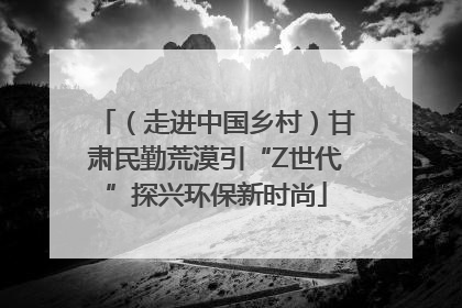 （走进中国乡村）甘肃民勤荒漠引“Z世代”探兴环保新时尚