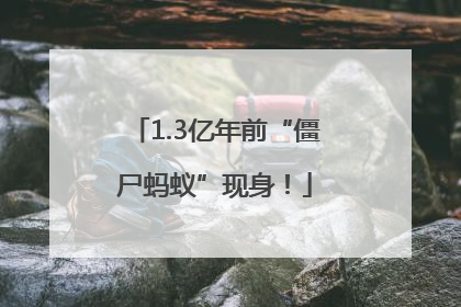 1.3亿年前“僵尸蚂蚁”现身！