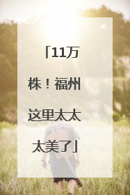 11万株！福州这里太太太美了