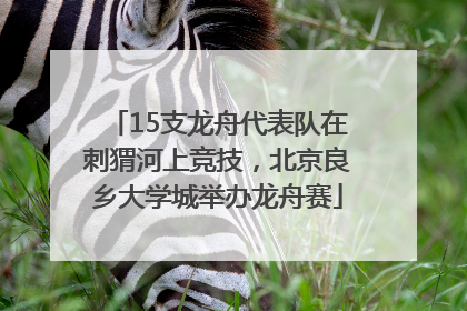 15支龙舟代表队在刺猬河上竞技，北京良乡大学城举办龙舟赛
