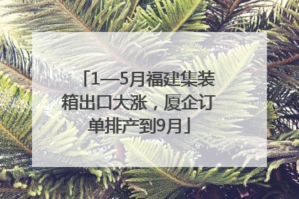 1—5月福建集装箱出口大涨，厦企订单排产到9月