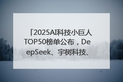 2025AI科技小巨人TOP50榜单公布，DeepSeek、宇树科技、蘑菇车联等企业荣誉上榜