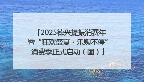 2025德兴提振消费年暨“狂欢盛夏・乐购不停”消费季正式启动（图）