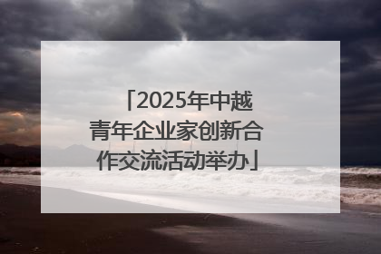 2025年中越青年企业家创新合作交流活动举办