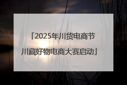 2025年川货电商节川藏好物电商大赛启动