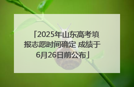 2025年山东高考填报志愿时间确定 成绩于6月26日前公布