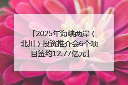 2025年海峡两岸（北川）投资推介会6个项目签约12.77亿元