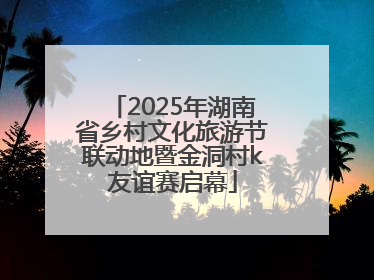 2025年湖南省乡村文化旅游节联动地暨金洞村k友谊赛启幕