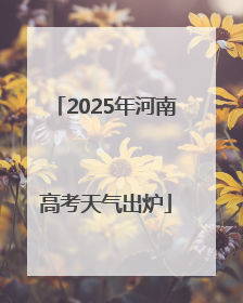 2025年河南高考天气出炉