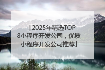 2025年精选TOP8小程序开发公司，优质小程序开发公司推荐