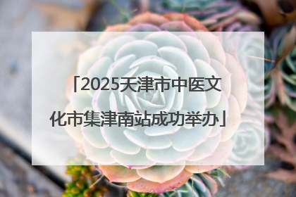 2025天津市中医文化市集津南站成功举办